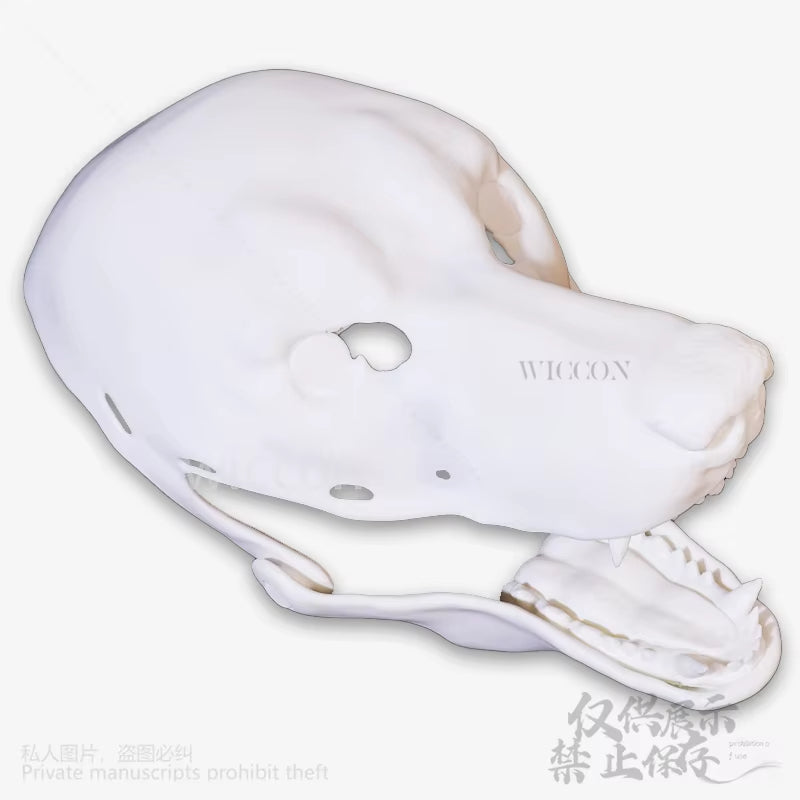 Dog Kigurumi Base Beast Skull 3d Mask
