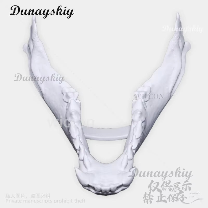 Cosplay Dog Skull Mask