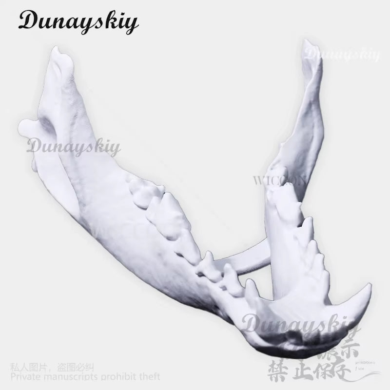 Cosplay Dog Skull Mask