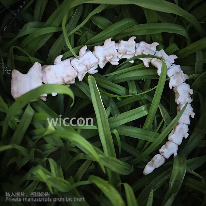 Dragon Bones Movable Joints Tail