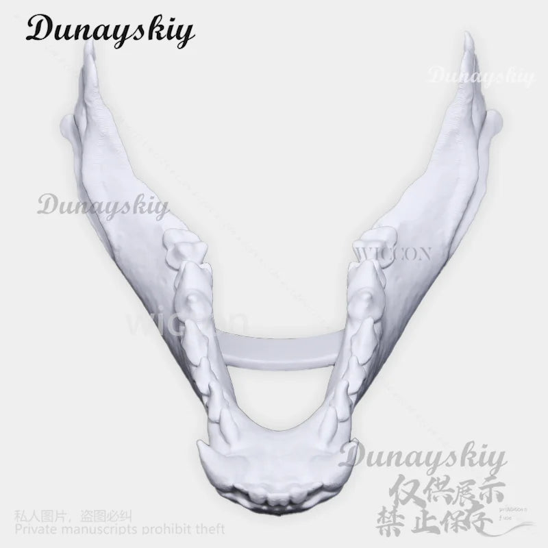 Animal Furry Cosplay Dog Skull Kigurumi Props Polylactic Acid Mask 3D Print Head Fursuit Halloween Christmas Party Customized